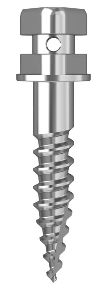 Kieferorthopädisches temporäres Implantat (TAD) aus Metall, dient als Mini-Implantat zur stabilen Verankerung bei Zahnbewegungen